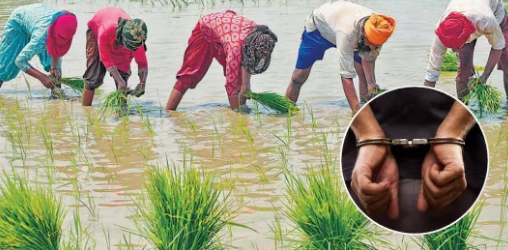 🌾 PM Fasal Bima Yojana: सावधान! फसल बीमा में फर्जीवाड़ा किया तो जाना पड़ेगा जेल, सरकार ने कड़े किए नियम